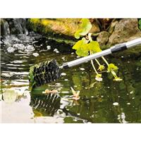 Brosse pour algues bassin manche tlscopique jusqu' 1,80m                     