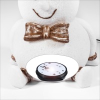 Bonhomme de neige solaire lumineux                                              