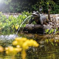 Fontaine solaire Grenouille paresseuse  380 l/h maxi                            