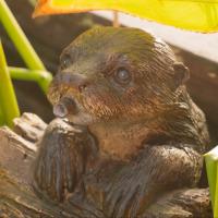 Loutre flottante cracheuse d'eau                                                