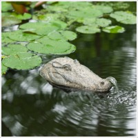 Sujet cracheur tête de crocodile                                                