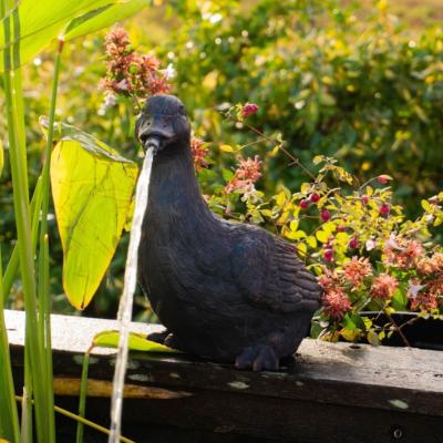 Sujet cracheur d'eau Canard                                                     