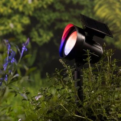 Duo spots solaires blanc chaud ou multicolore 25 lumens                         