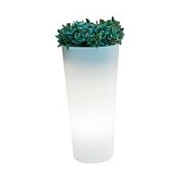 Pot lumineux solaire Ficus 80 SmartTech, recharge solaire ou USB, avec telecommande