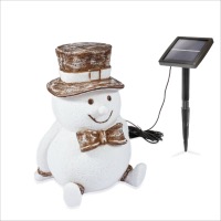 Bonhomme de neige solaire lumineux                                              