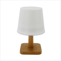 Lampe de table solaire 25 lumens                                                